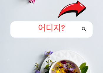 업소록 (달라스)