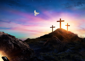 크리스천투데이 소개