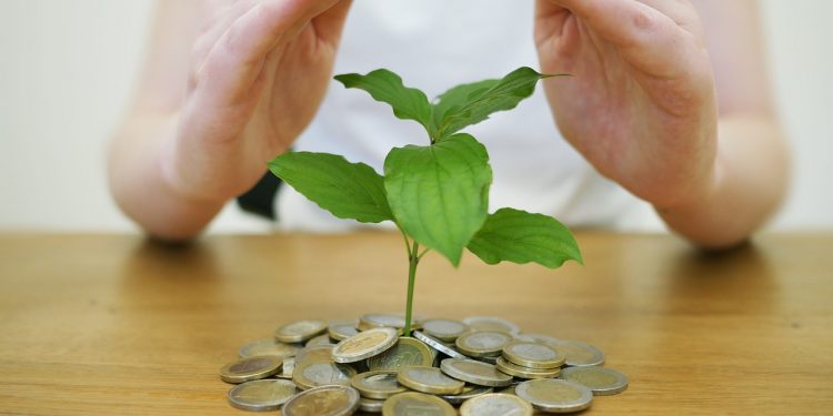 미키피디아 채널 소개