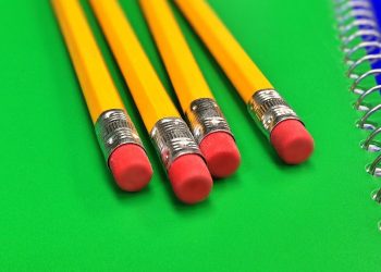 미국 교육 시스템 심층 분석