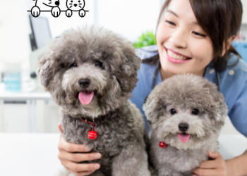 슬기로운 성심생활 채널 소개