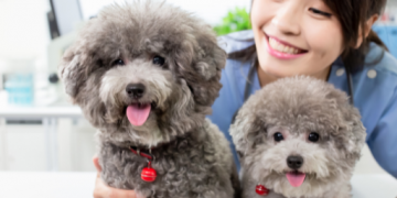 슬기로운 성심생활 채널 소개