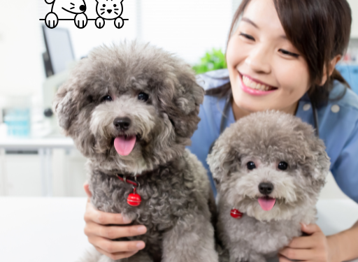 슬기로운 성심생활 채널 소개