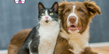 루루언니 채널 소개