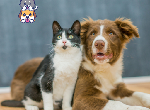 루루언니 채널 소개