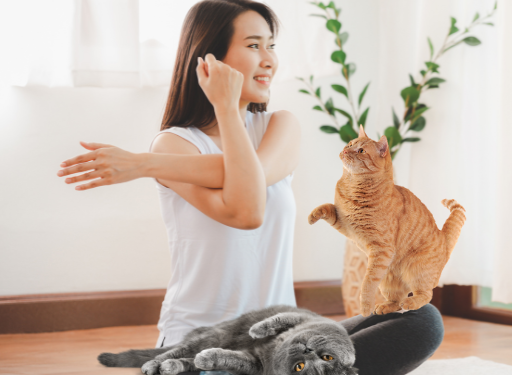 EMS 근력PT 채널 소개