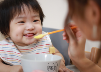 이유식 월령별 가이드