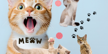 집사연구소 채널 소개