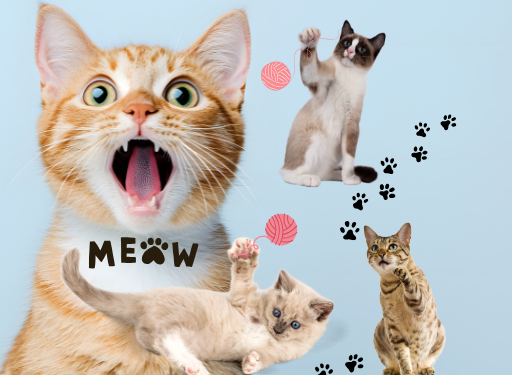 집사연구소 채널 소개