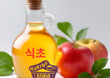 식초의 65가지 활용법