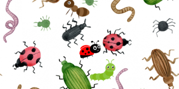 집안의 해충 박멸 지혜모음