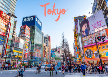 일본 도쿄 여행 정보