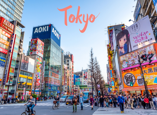 일본 도쿄 여행 정보