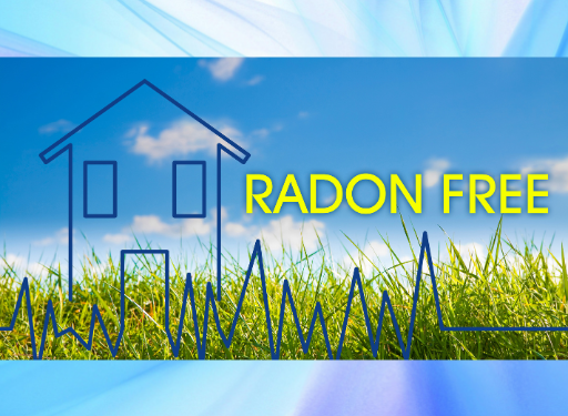 Radon Test (라돈 검사) 정보