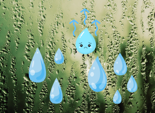 탈취 & 습기 제거법