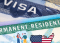 영주권·비자 신청 필수 절차 총정리