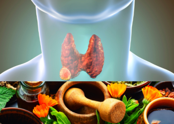 갑상선의 자연요법