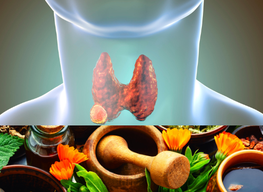 갑상선의 자연요법