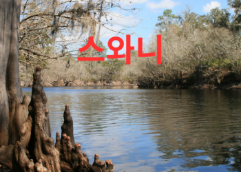 조지아주 스와니 시 소개