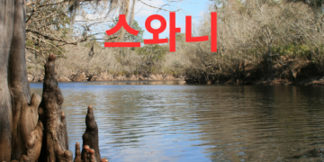 조지아주 스와니 시 소개