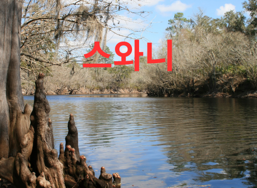 조지아주 스와니 시 소개